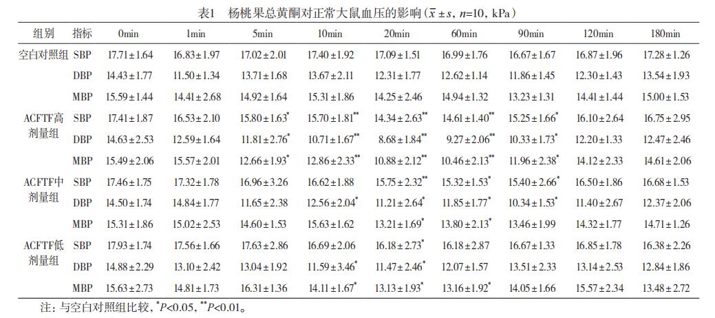 表1 040815