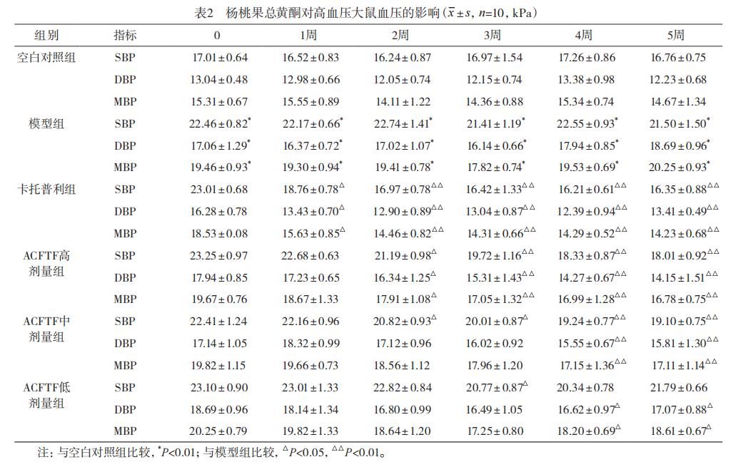 表2 040815